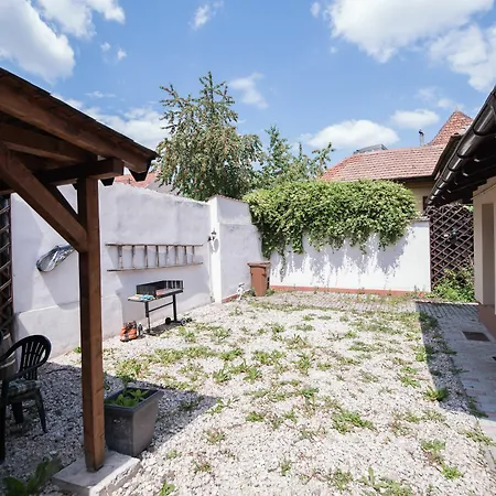 Rares Brasov