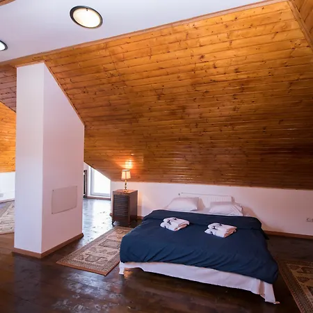 Villa Rares Brasov